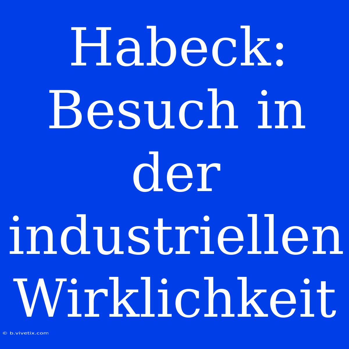 Habeck: Besuch In Der Industriellen Wirklichkeit