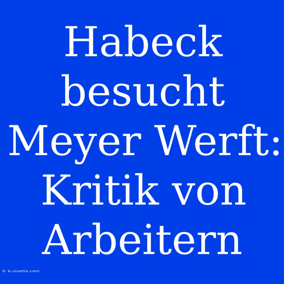 Habeck Besucht Meyer Werft: Kritik Von Arbeitern