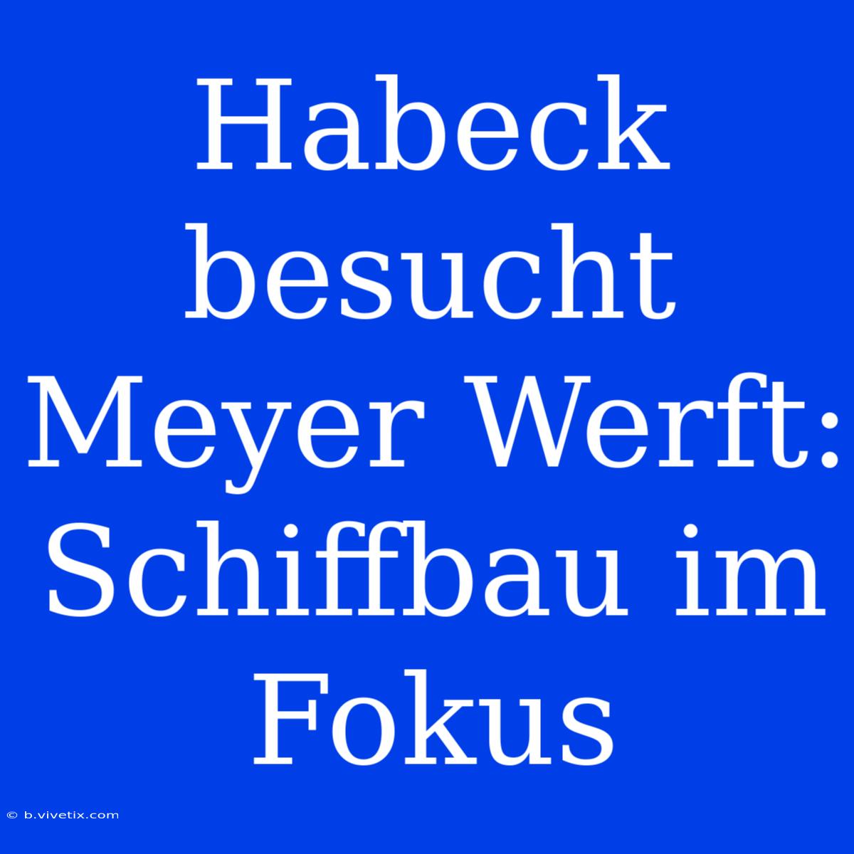 Habeck Besucht Meyer Werft: Schiffbau Im Fokus