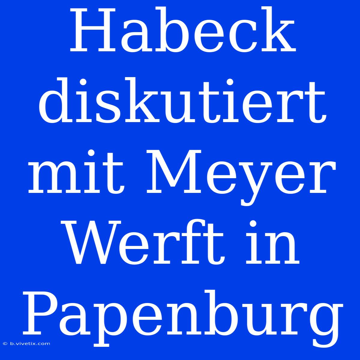 Habeck Diskutiert Mit Meyer Werft In Papenburg