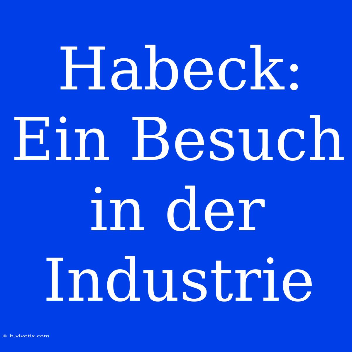 Habeck: Ein Besuch In Der Industrie