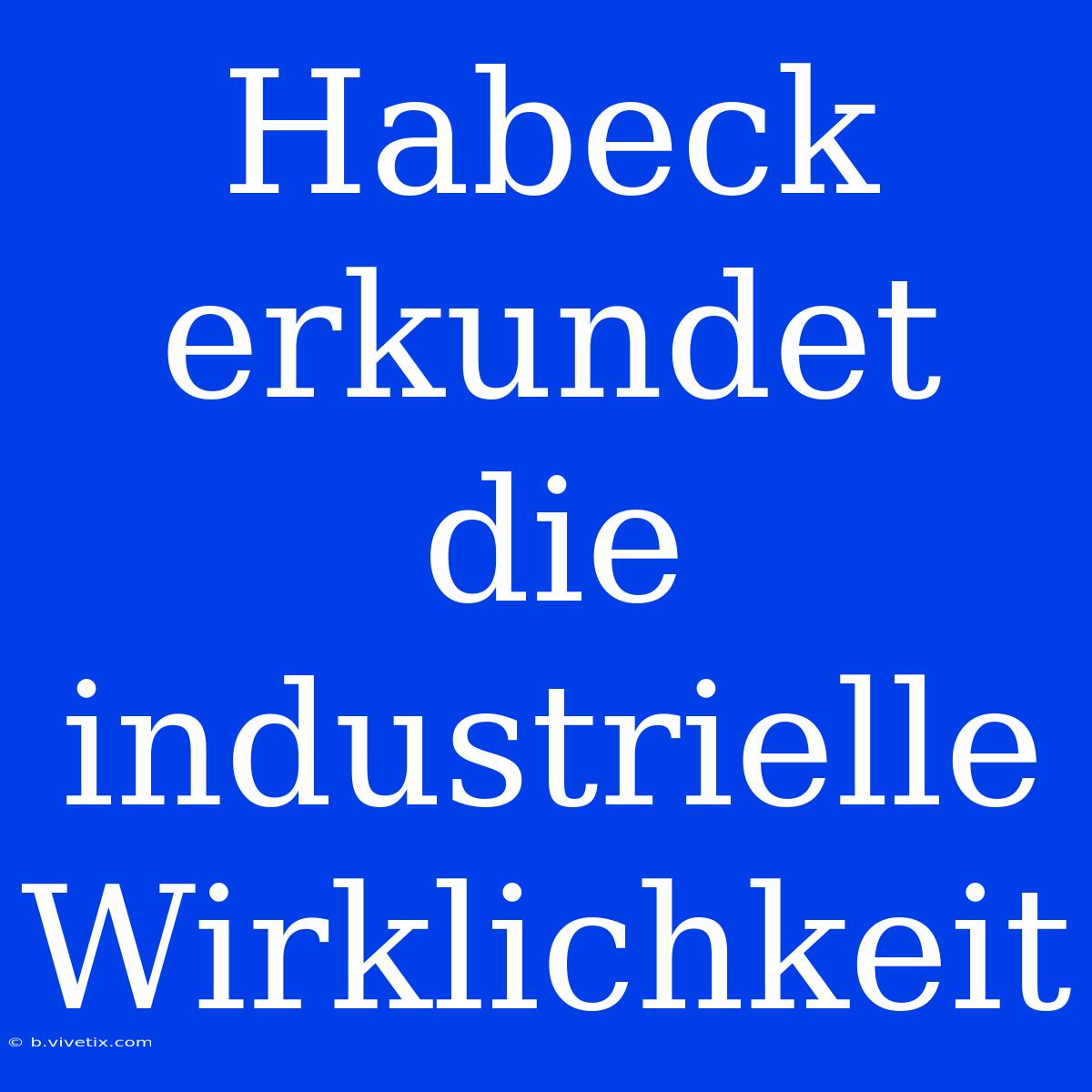 Habeck Erkundet Die Industrielle Wirklichkeit