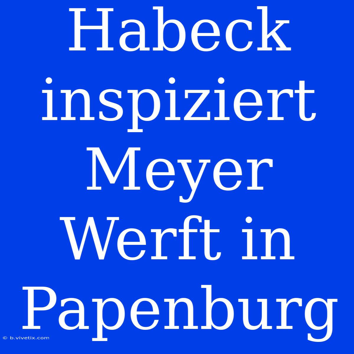 Habeck Inspiziert Meyer Werft In Papenburg