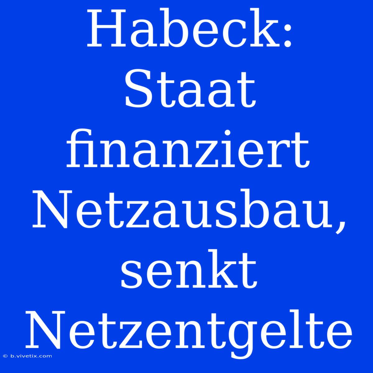 Habeck: Staat Finanziert Netzausbau, Senkt Netzentgelte