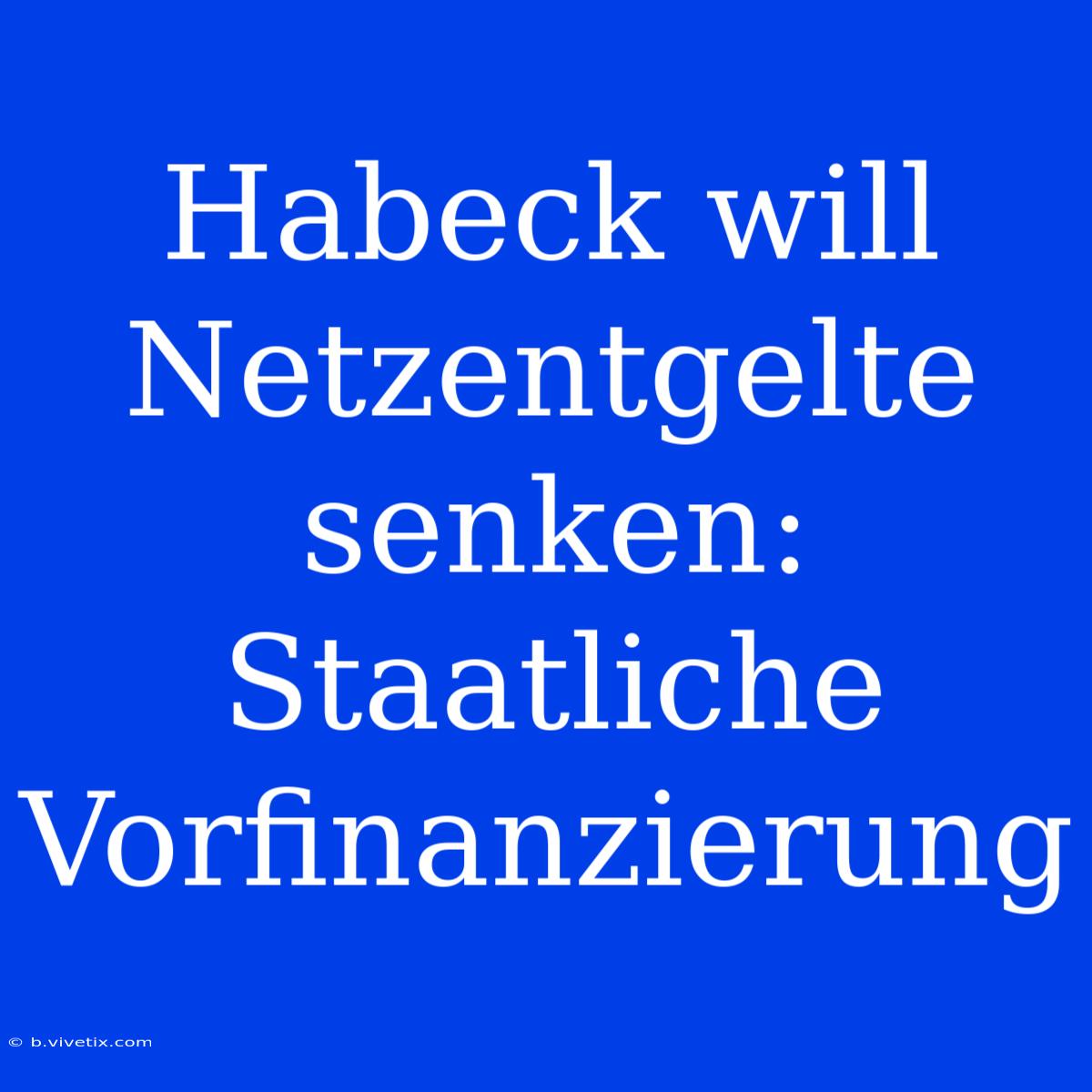 Habeck Will Netzentgelte Senken: Staatliche Vorfinanzierung