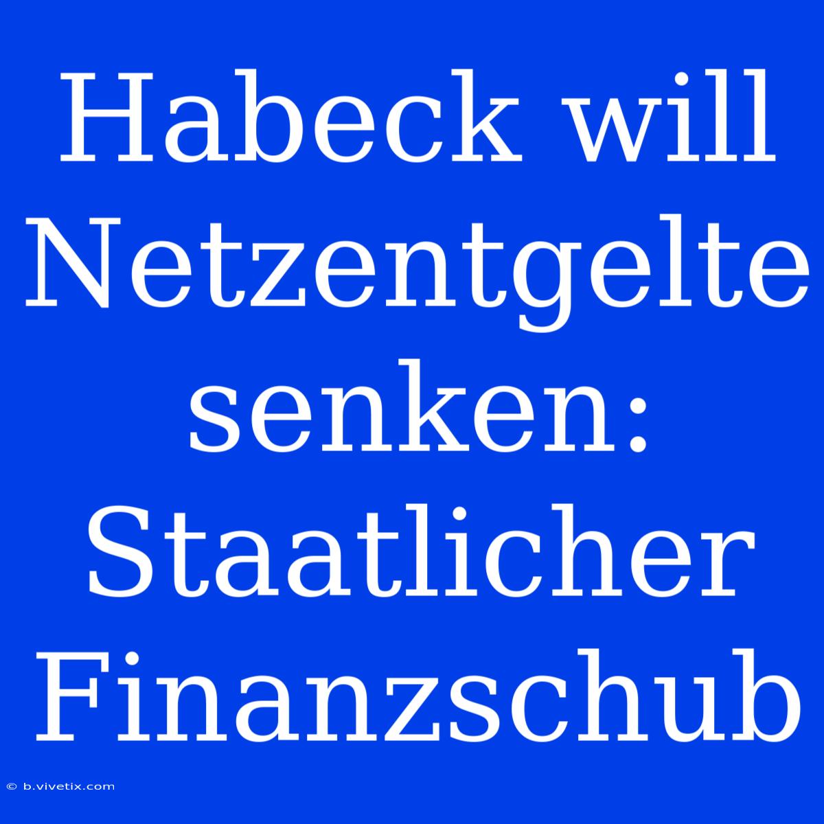 Habeck Will Netzentgelte Senken: Staatlicher Finanzschub