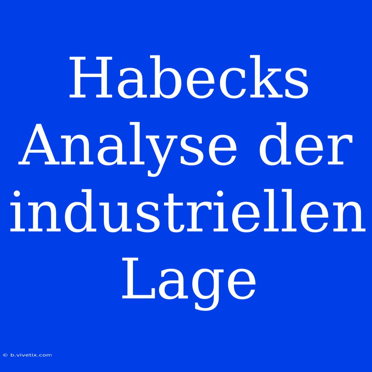 Habecks Analyse Der Industriellen Lage 