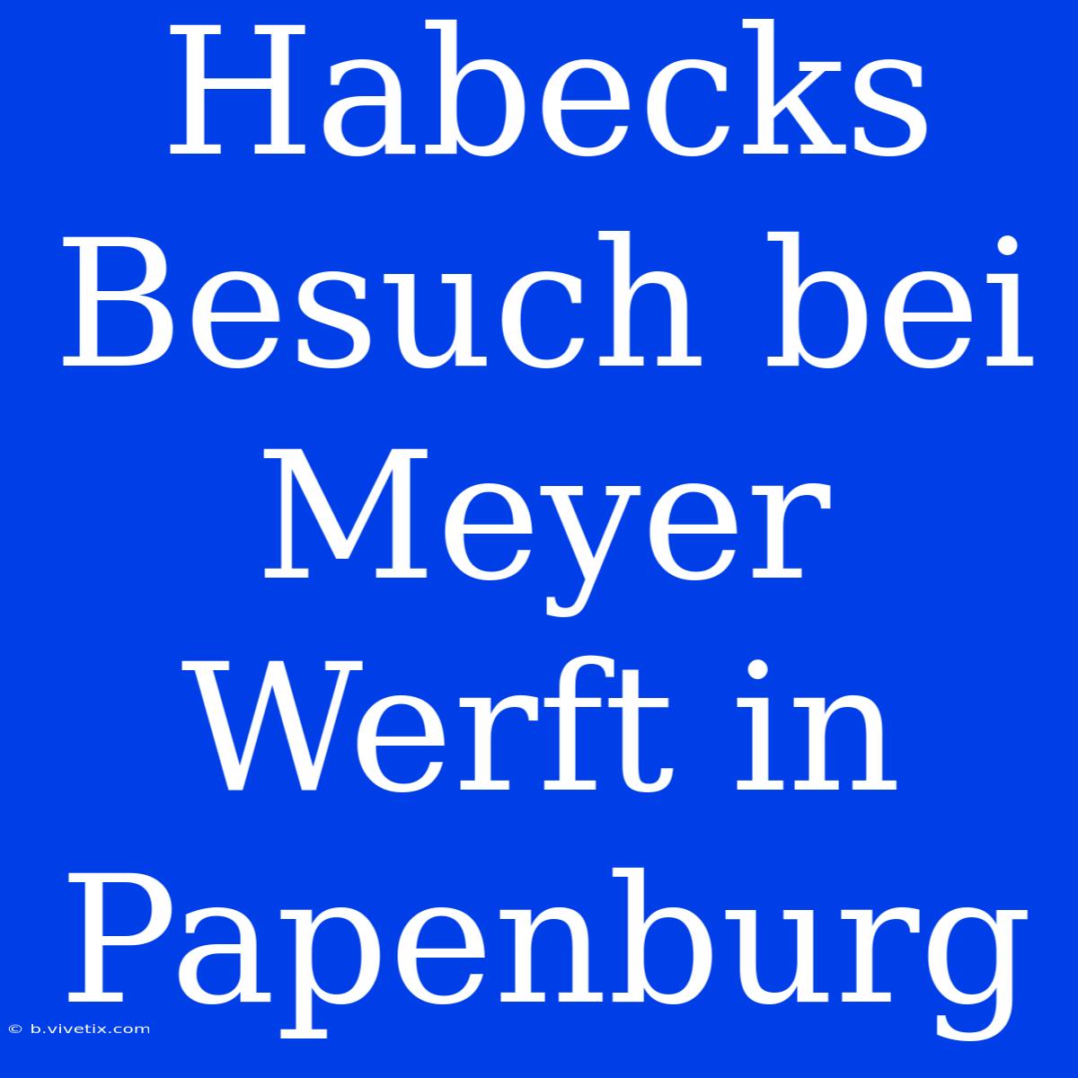 Habecks Besuch Bei Meyer Werft In Papenburg