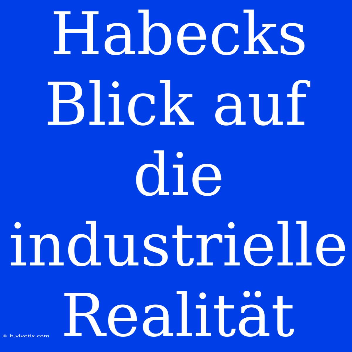 Habecks Blick Auf Die Industrielle Realität