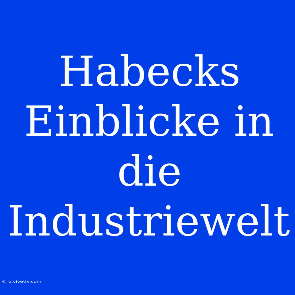 Habecks Einblicke In Die Industriewelt