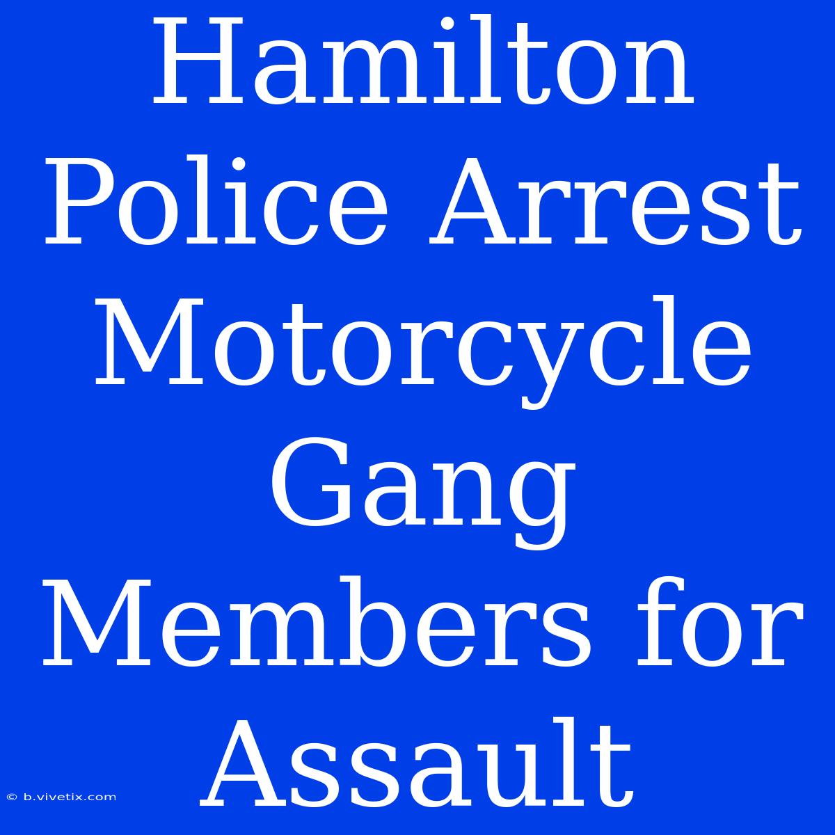 Hamilton Police Arrest Motorcycle Gang Members For Assault