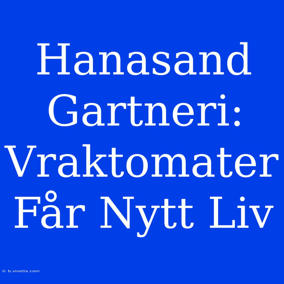 Hanasand Gartneri: Vraktomater Får Nytt Liv