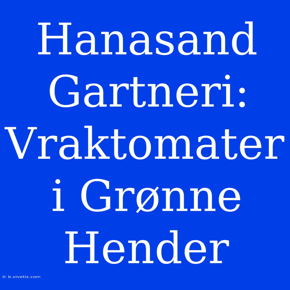 Hanasand Gartneri: Vraktomater I Grønne Hender