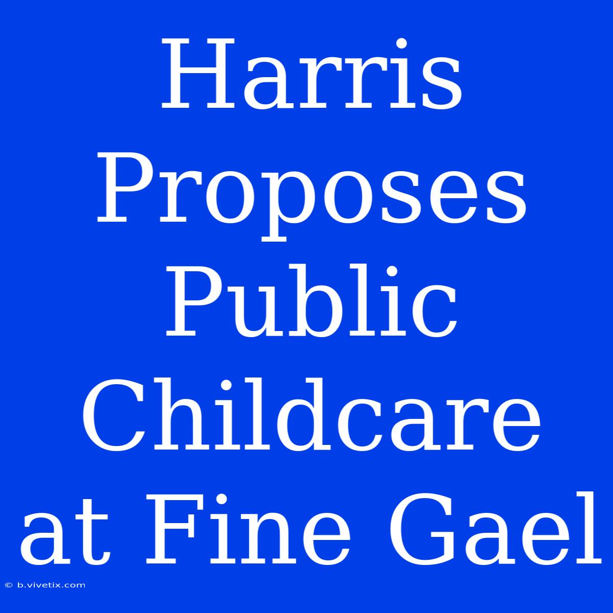 Harris Proposes Public Childcare At Fine Gael