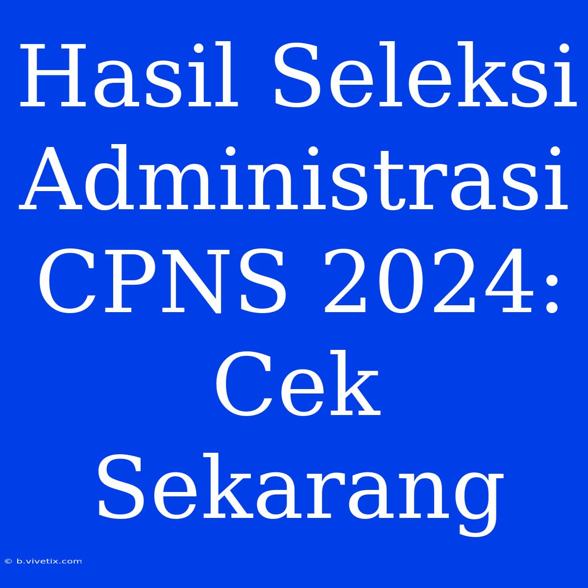 Hasil Seleksi Administrasi CPNS 2024: Cek Sekarang