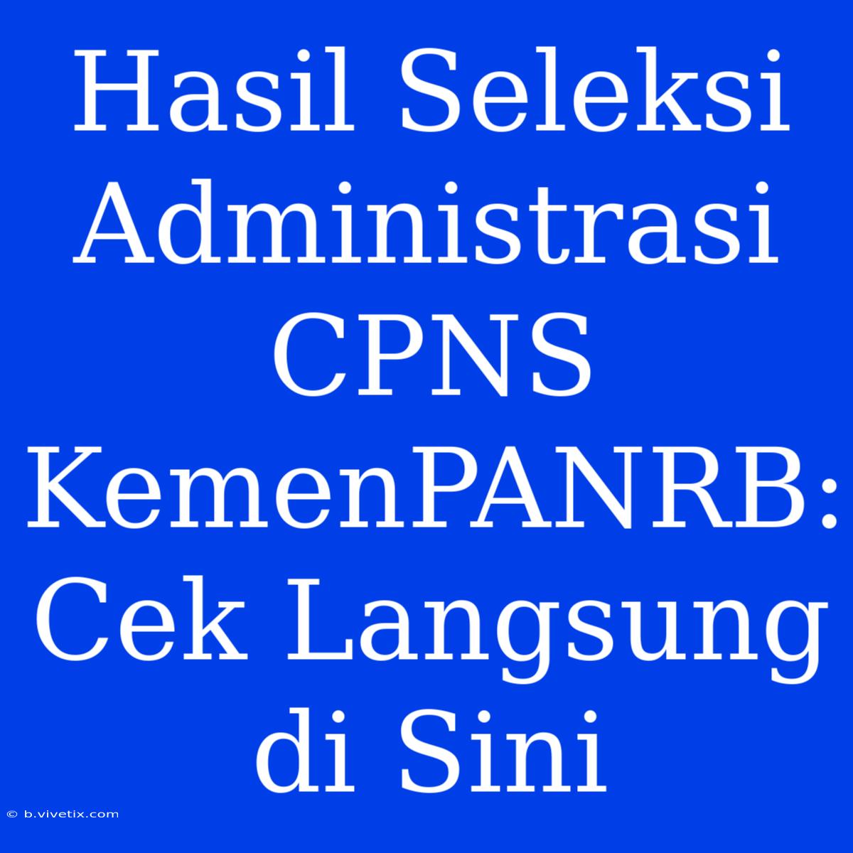 Hasil Seleksi Administrasi CPNS KemenPANRB: Cek Langsung Di Sini 