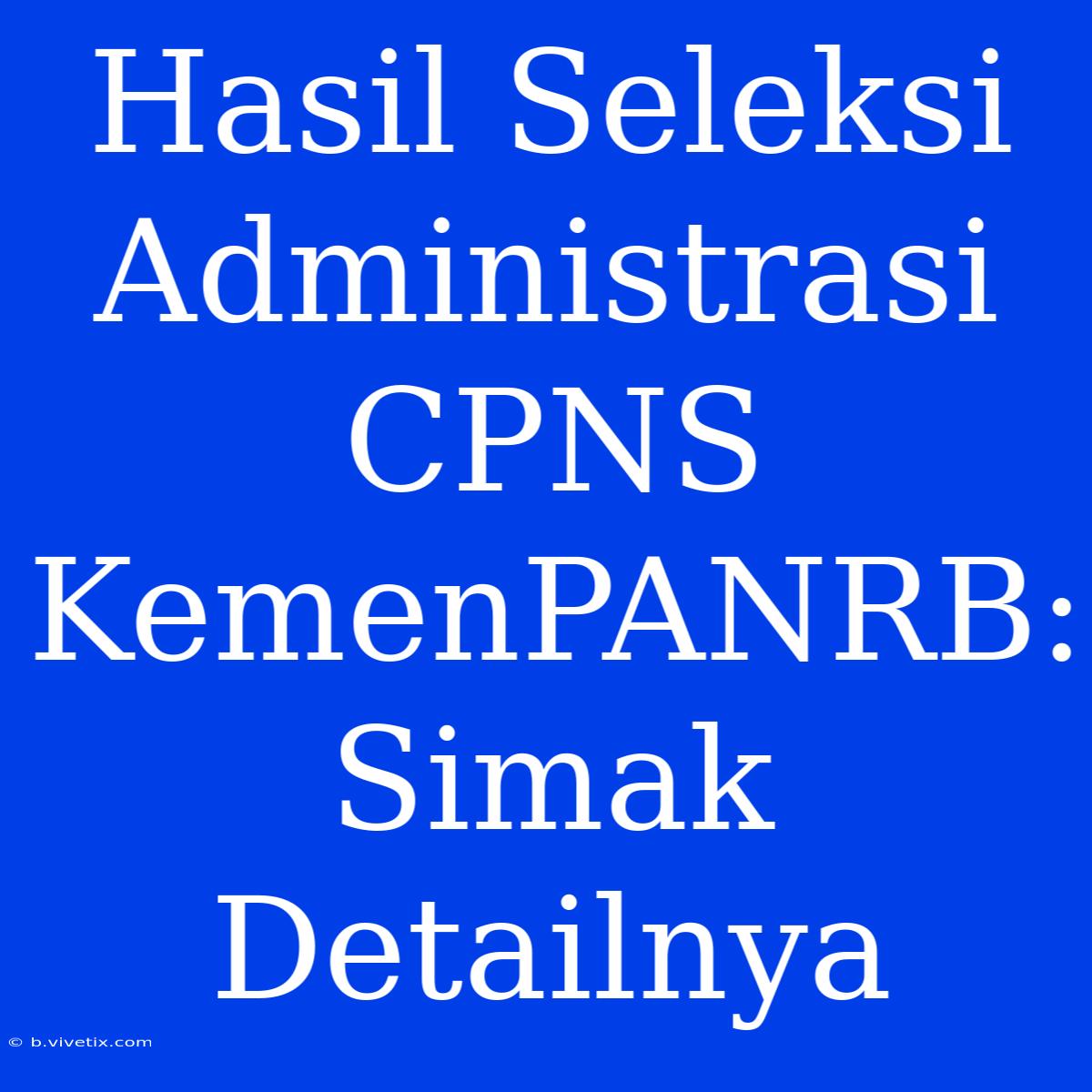 Hasil Seleksi Administrasi CPNS KemenPANRB: Simak Detailnya