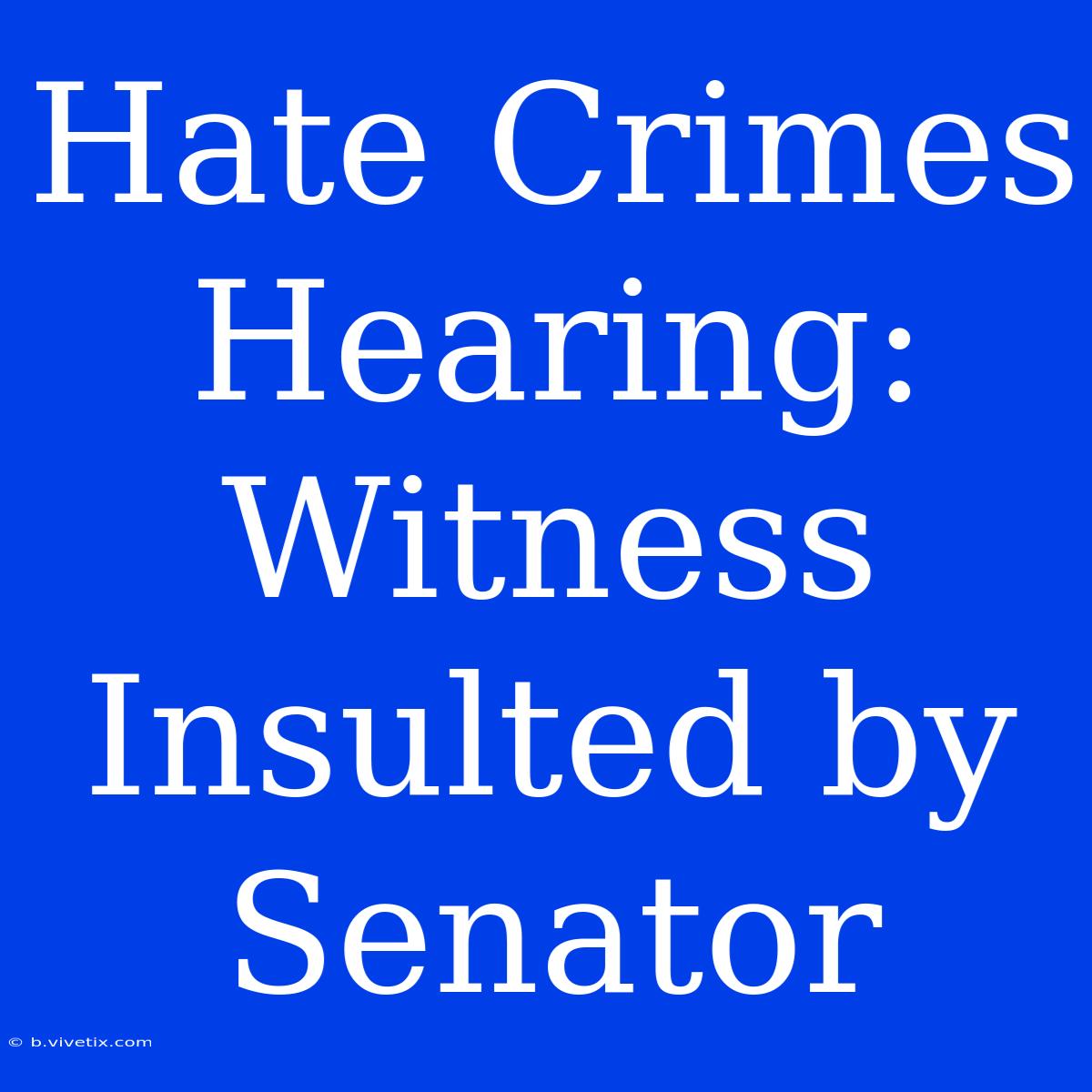 Hate Crimes Hearing: Witness Insulted By Senator