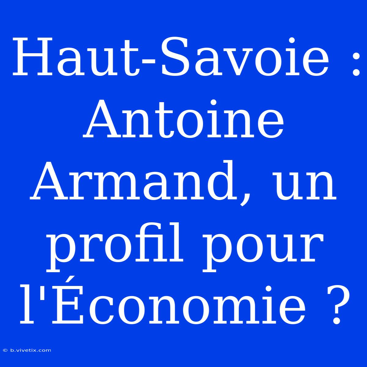 Haut-Savoie : Antoine Armand, Un Profil Pour L'Économie ?