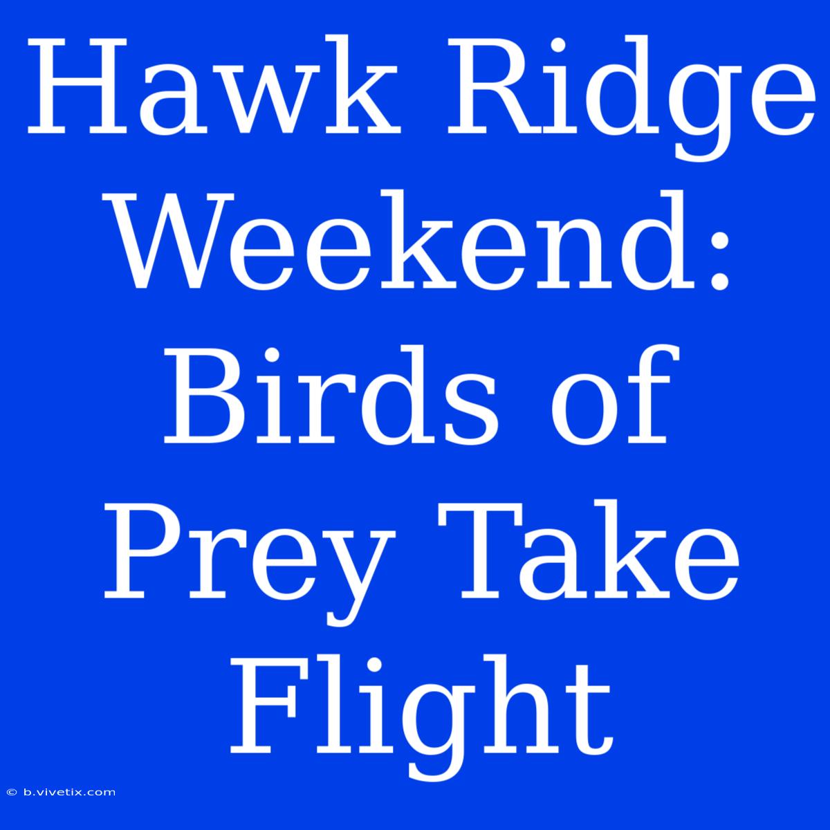 Hawk Ridge Weekend: Birds Of Prey Take Flight