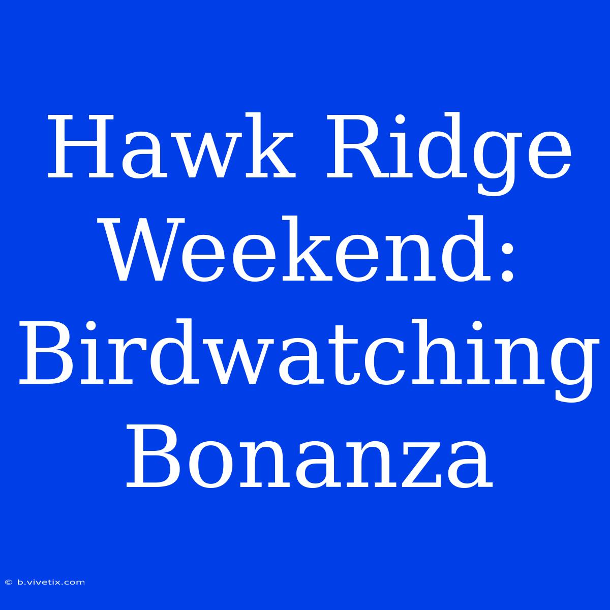 Hawk Ridge Weekend: Birdwatching Bonanza