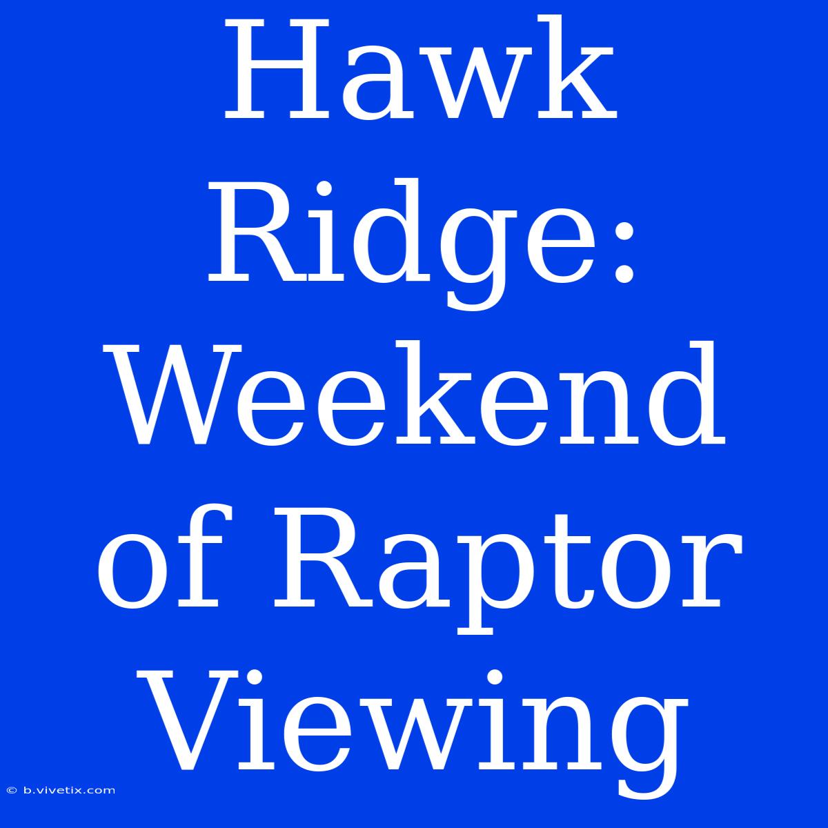 Hawk Ridge: Weekend Of Raptor Viewing