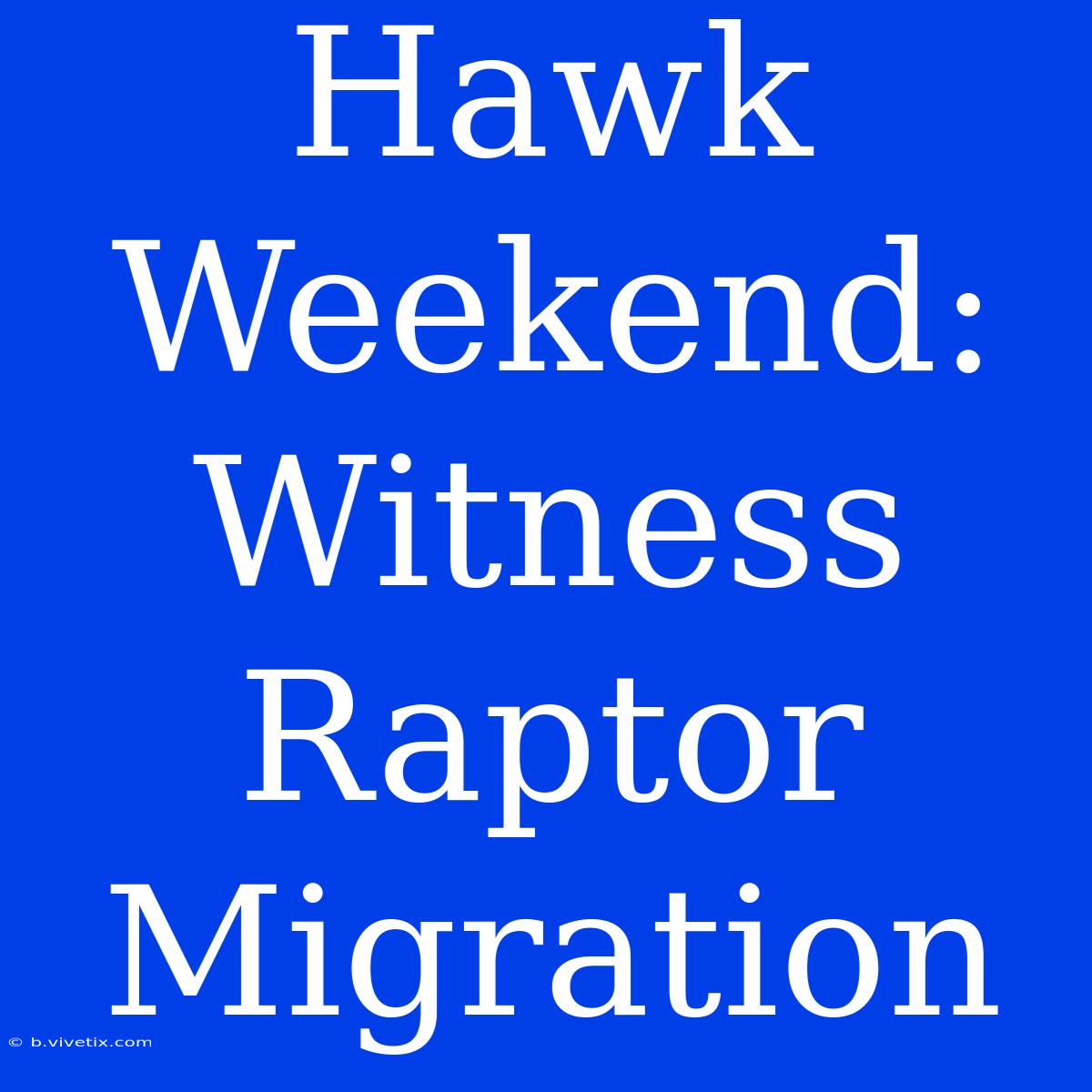 Hawk Weekend: Witness Raptor Migration