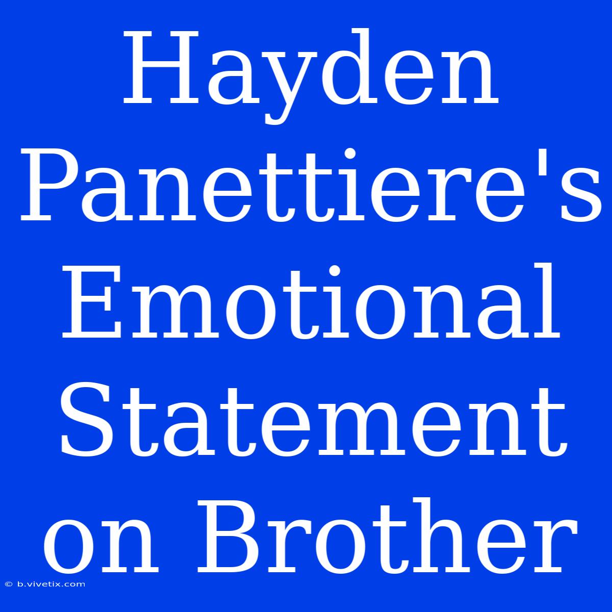 Hayden Panettiere's Emotional Statement On Brother 