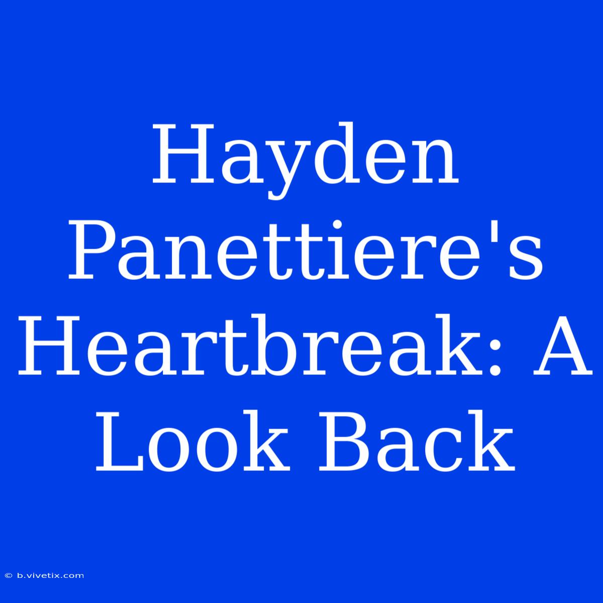 Hayden Panettiere's Heartbreak: A Look Back 