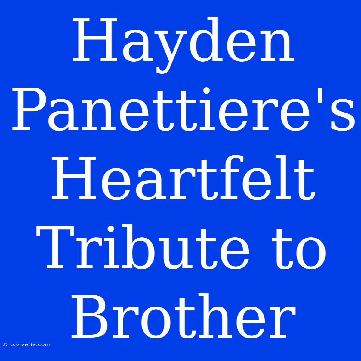 Hayden Panettiere's Heartfelt Tribute To Brother