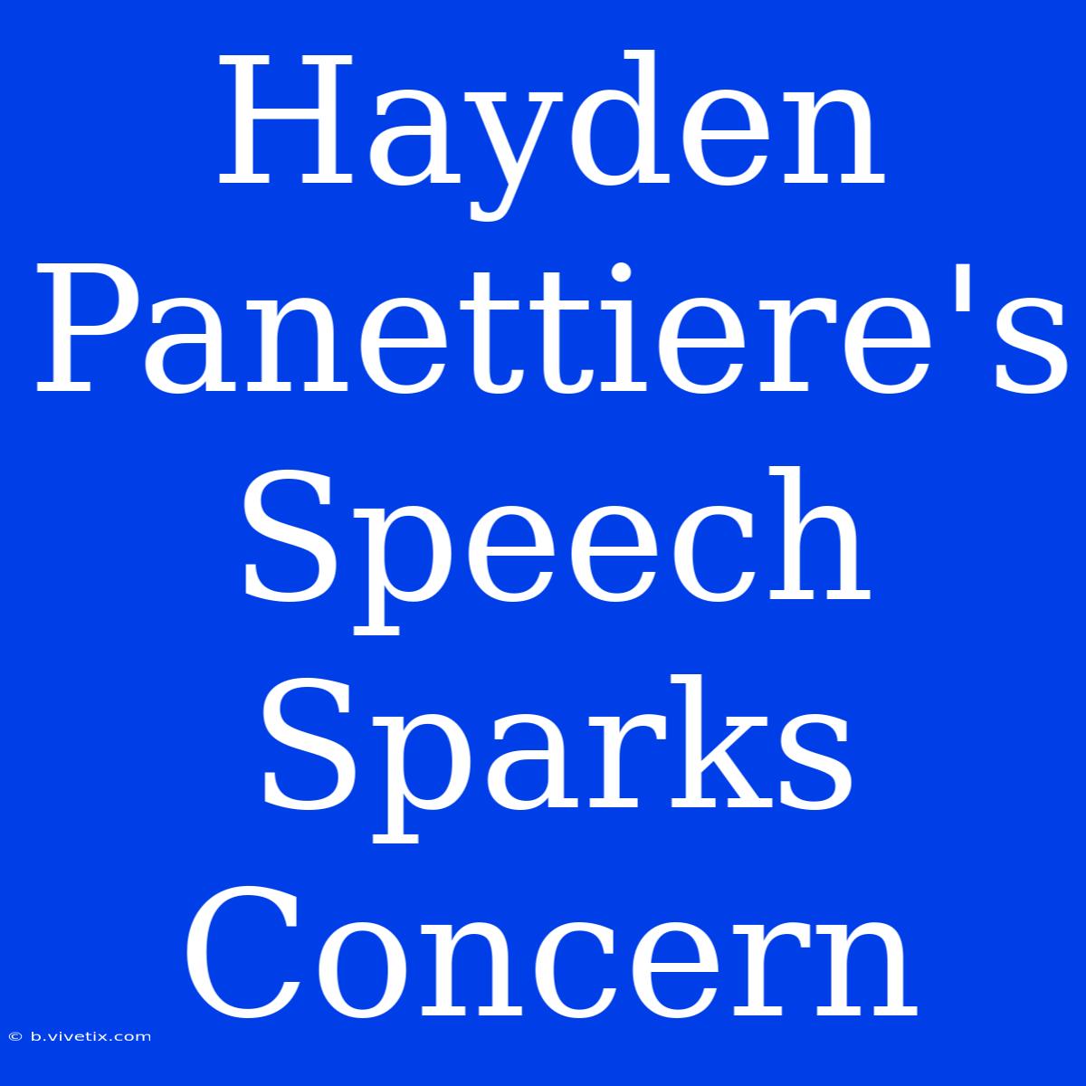 Hayden Panettiere's Speech Sparks Concern