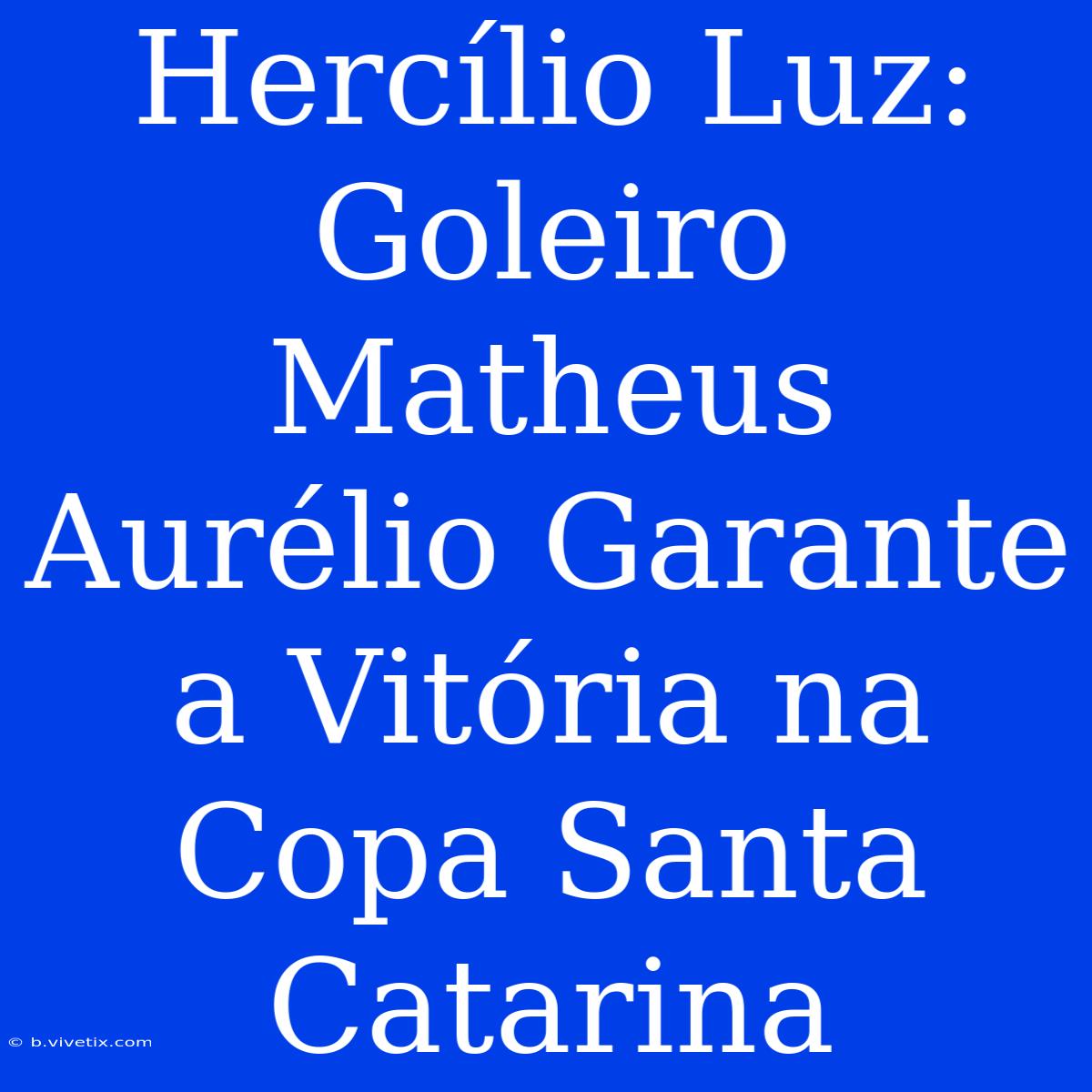 Hercílio Luz: Goleiro Matheus Aurélio Garante A Vitória Na Copa Santa Catarina 