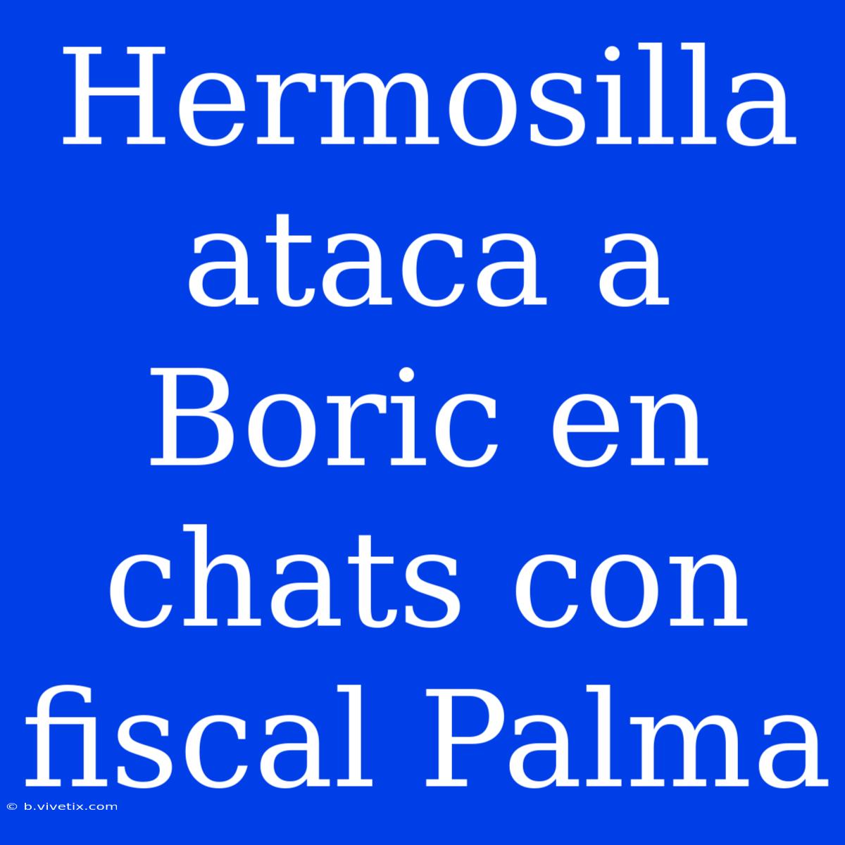 Hermosilla Ataca A Boric En Chats Con Fiscal Palma