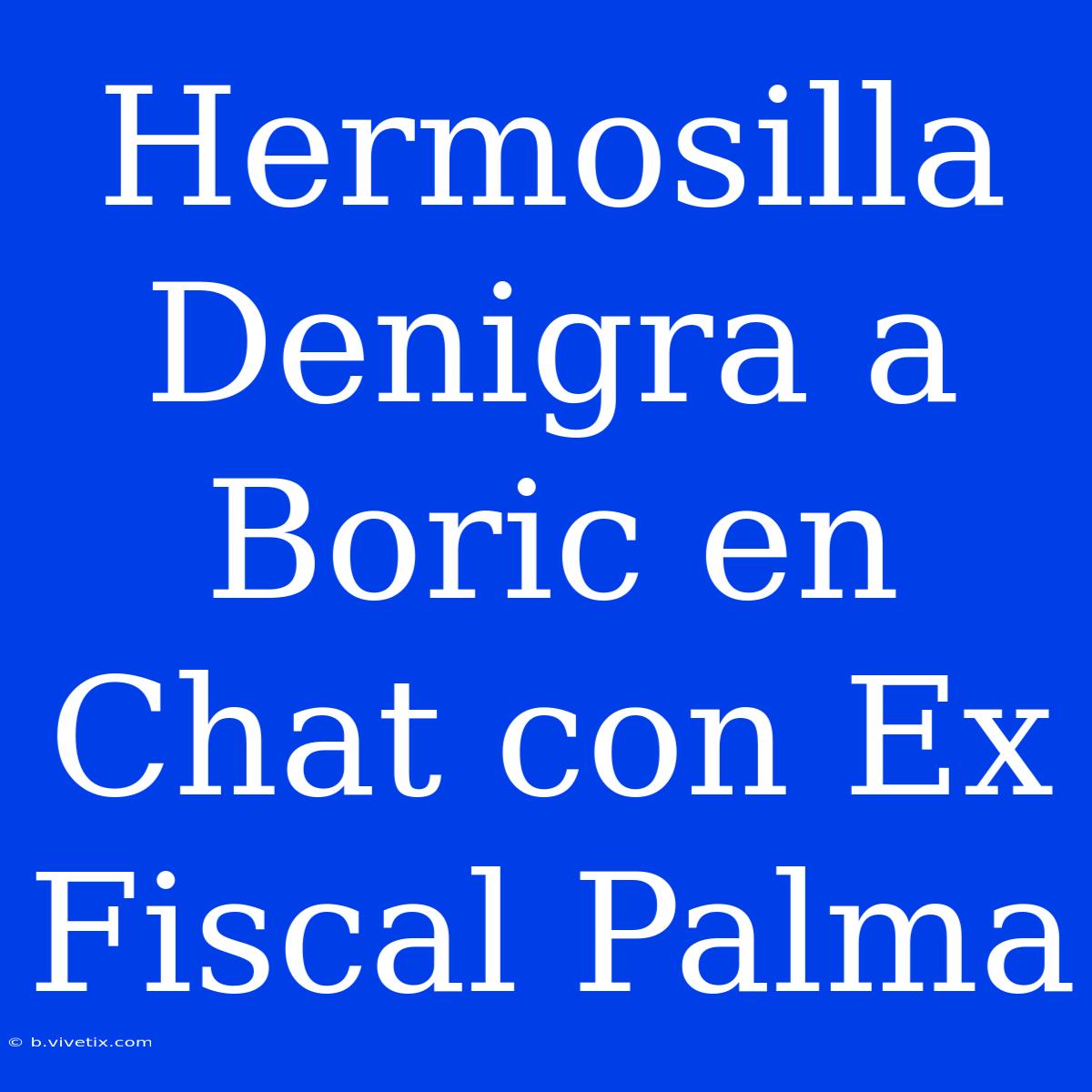 Hermosilla Denigra A Boric En Chat Con Ex Fiscal Palma