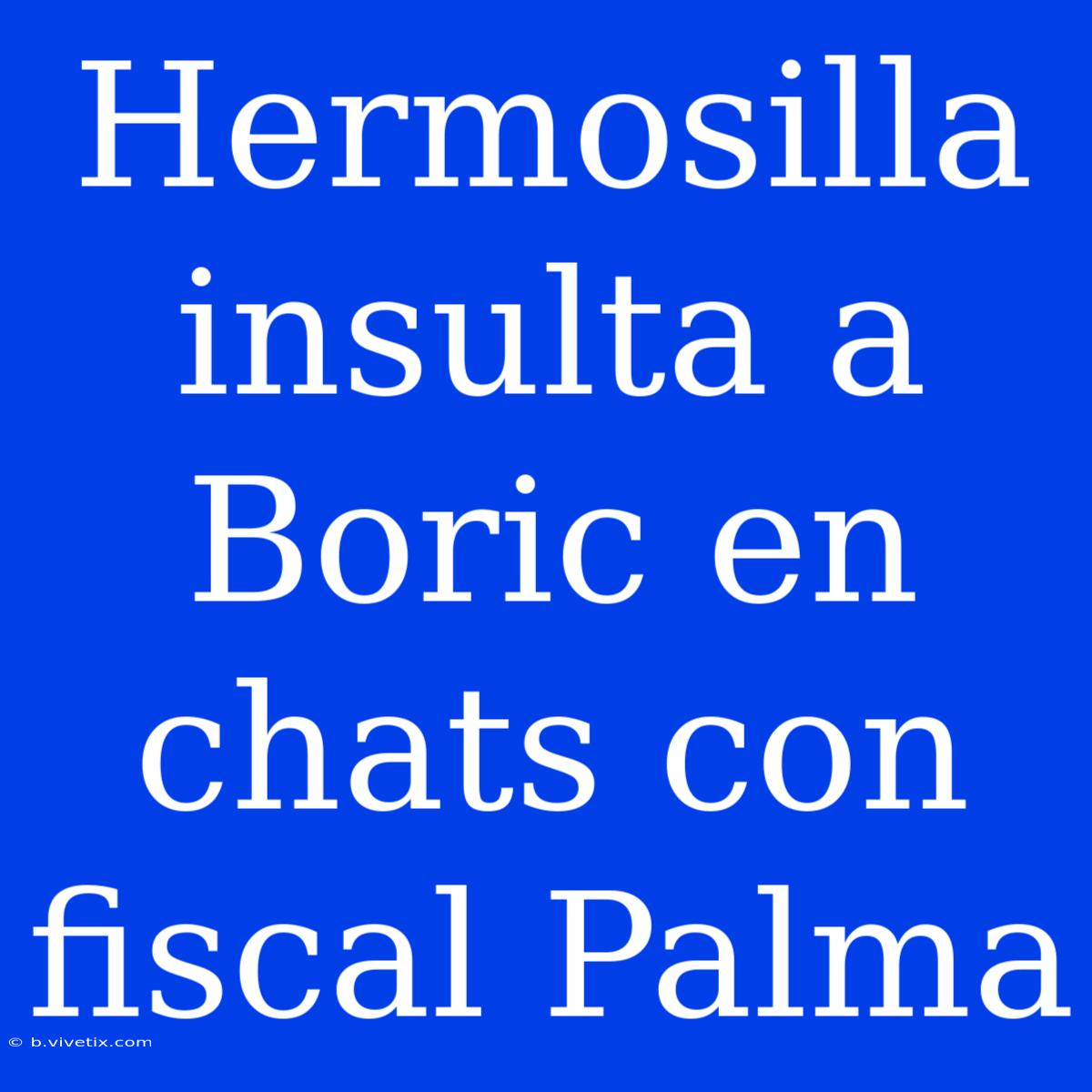 Hermosilla Insulta A Boric En Chats Con Fiscal Palma