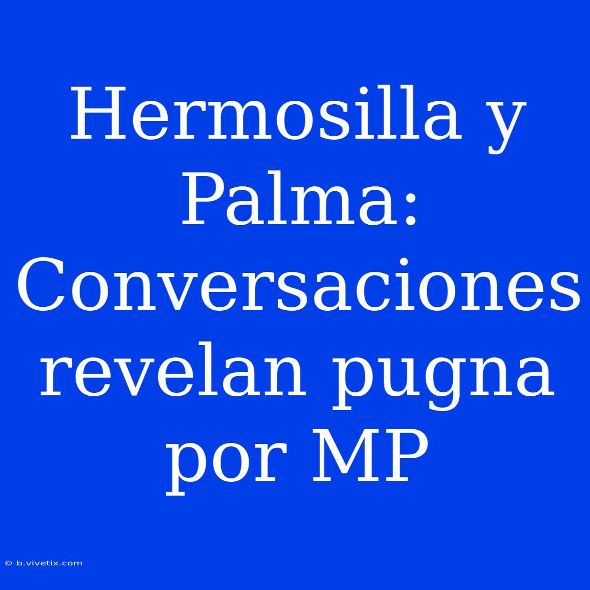 Hermosilla Y Palma: Conversaciones Revelan Pugna Por MP