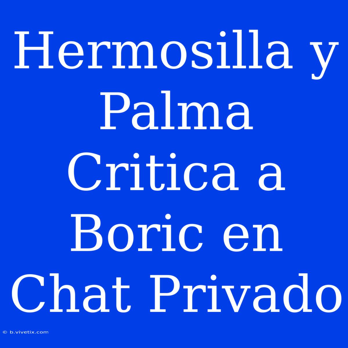 Hermosilla Y Palma Critica A Boric En Chat Privado