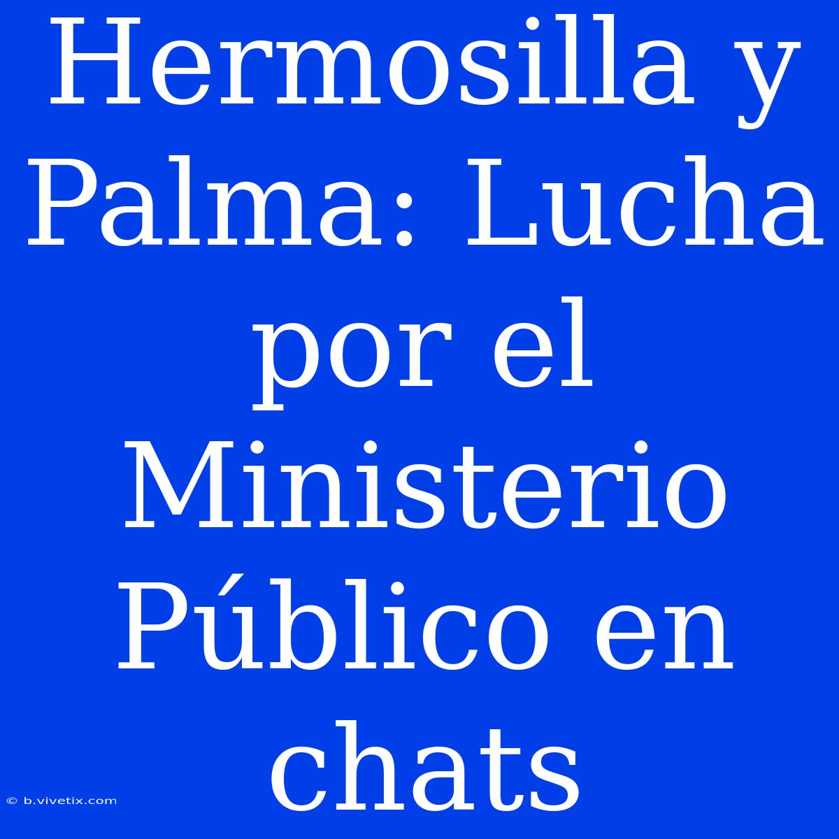 Hermosilla Y Palma: Lucha Por El Ministerio Público En Chats