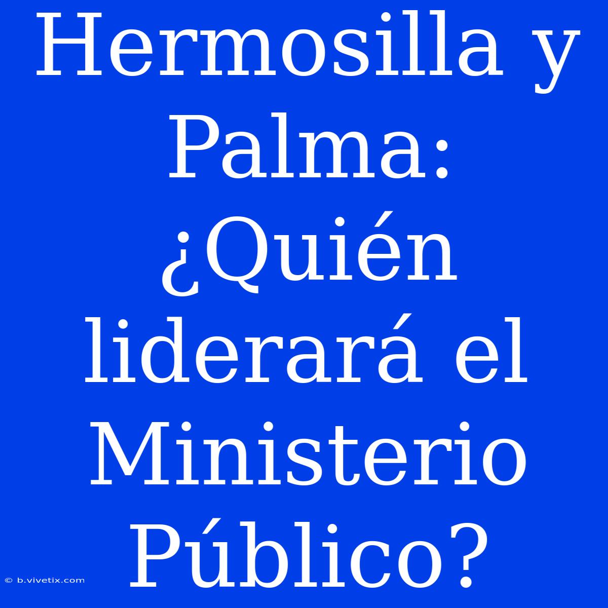 Hermosilla Y Palma: ¿Quién Liderará El Ministerio Público?