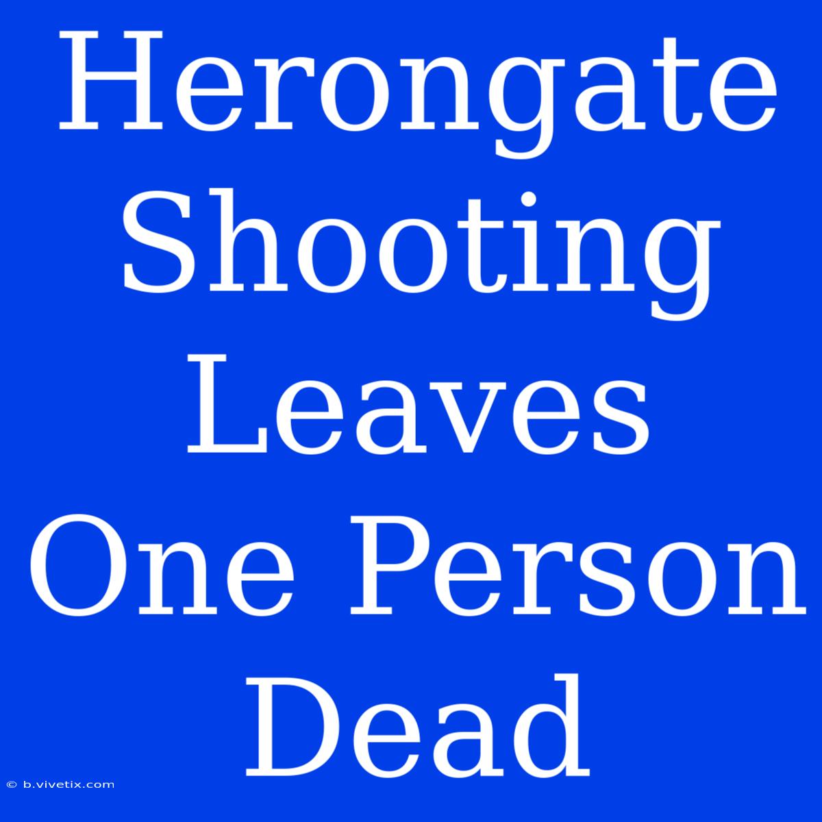 Herongate Shooting Leaves One Person Dead