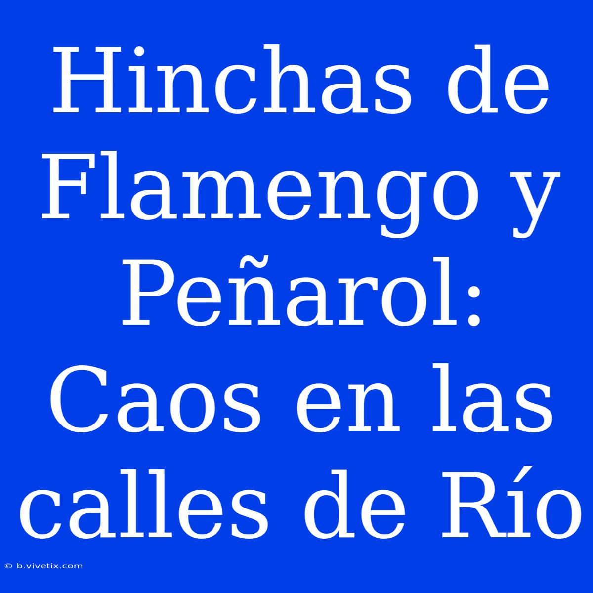 Hinchas De Flamengo Y Peñarol: Caos En Las Calles De Río