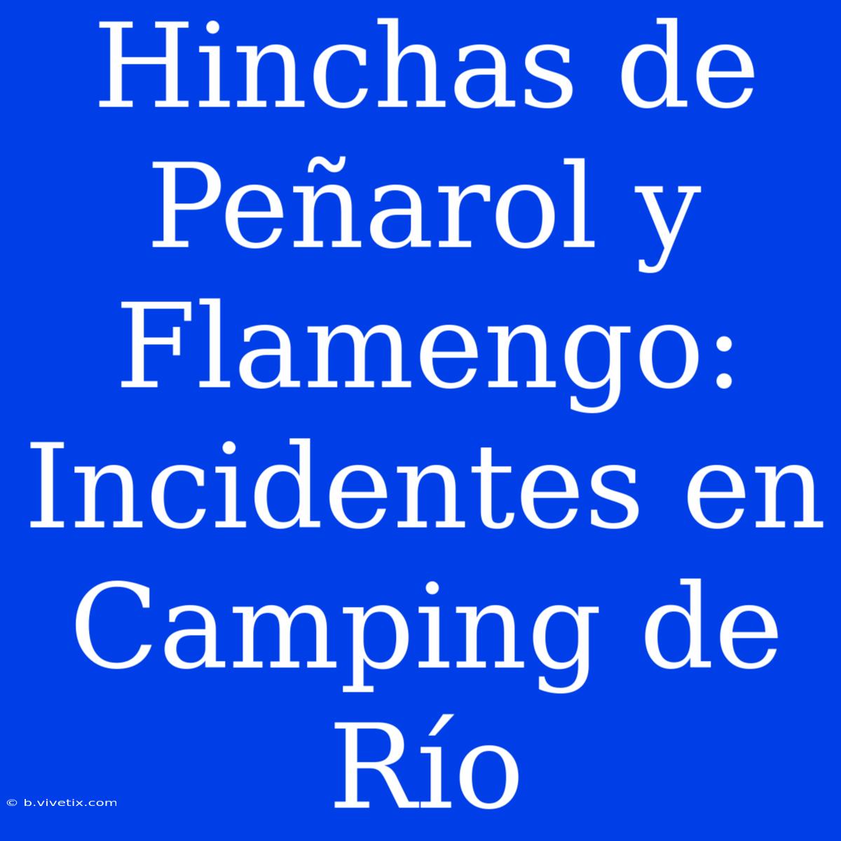 Hinchas De Peñarol Y Flamengo: Incidentes En Camping De Río