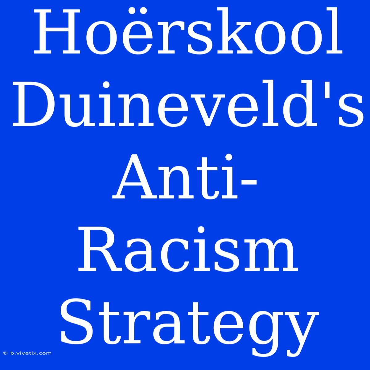 Hoërskool Duineveld's Anti-Racism Strategy