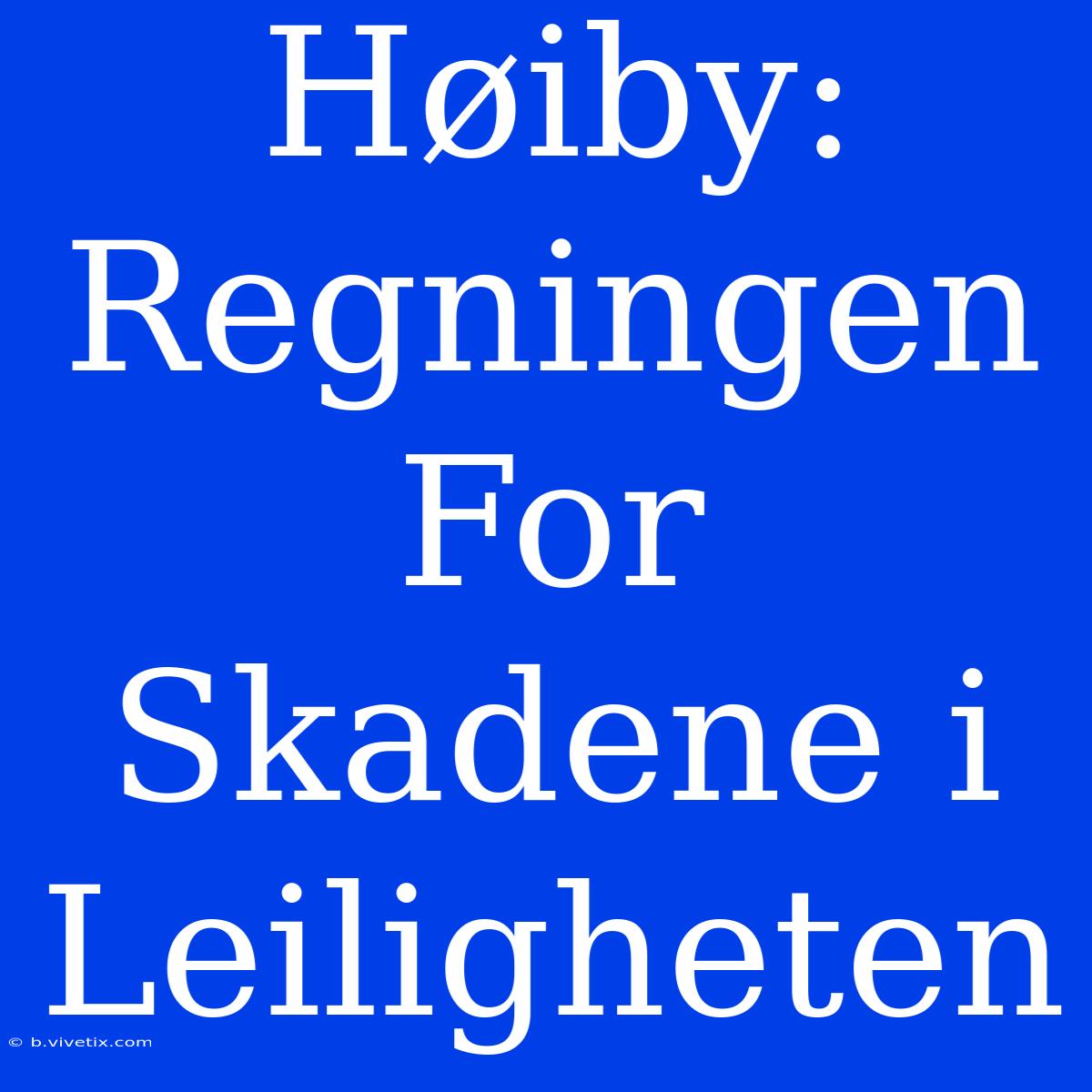 Høiby: Regningen For Skadene I Leiligheten