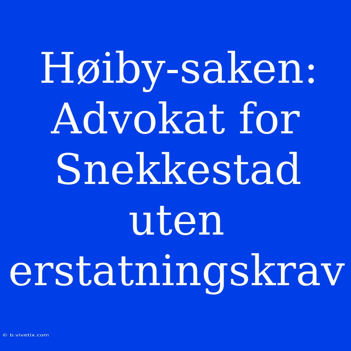 Høiby-saken: Advokat For Snekkestad Uten Erstatningskrav