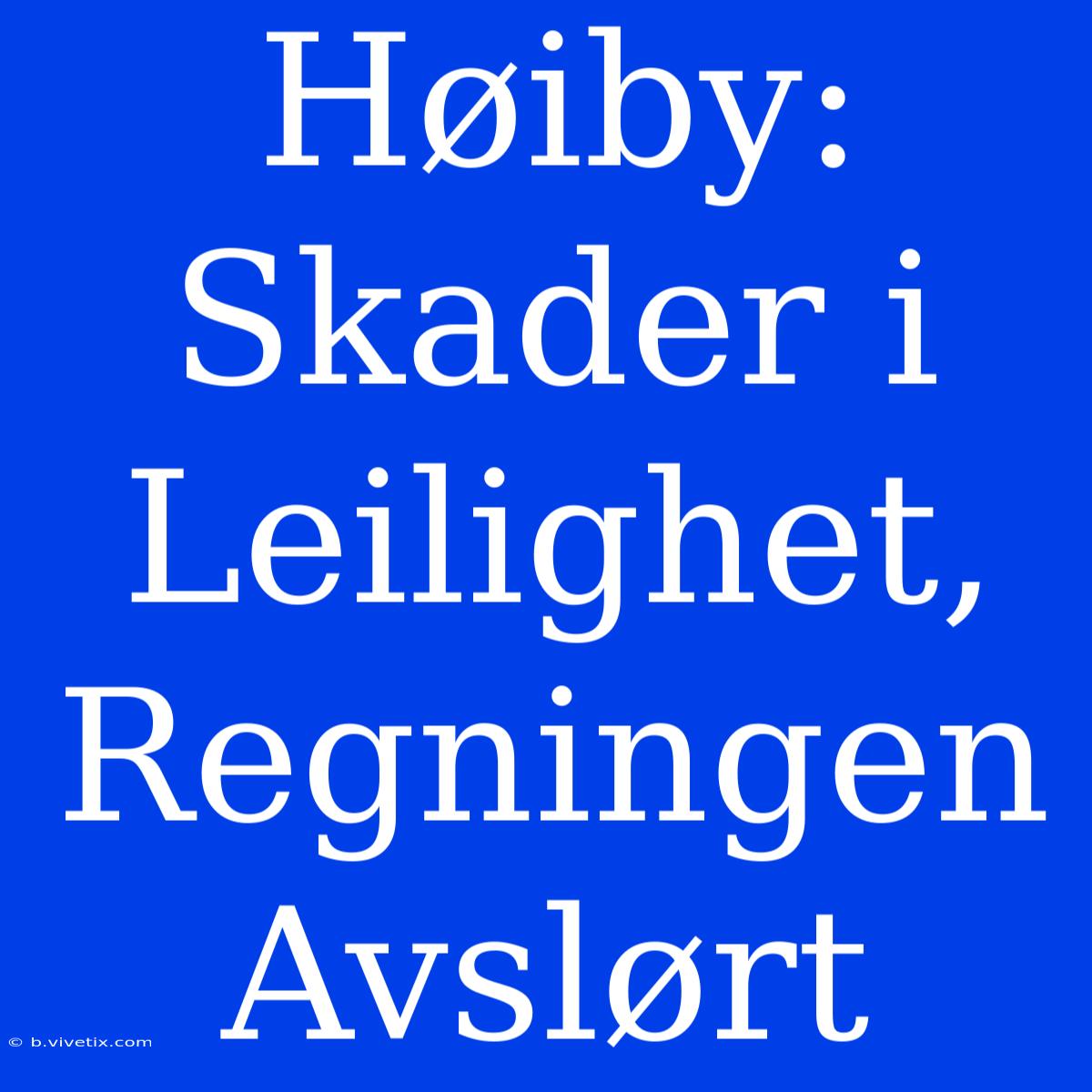 Høiby: Skader I Leilighet, Regningen Avslørt