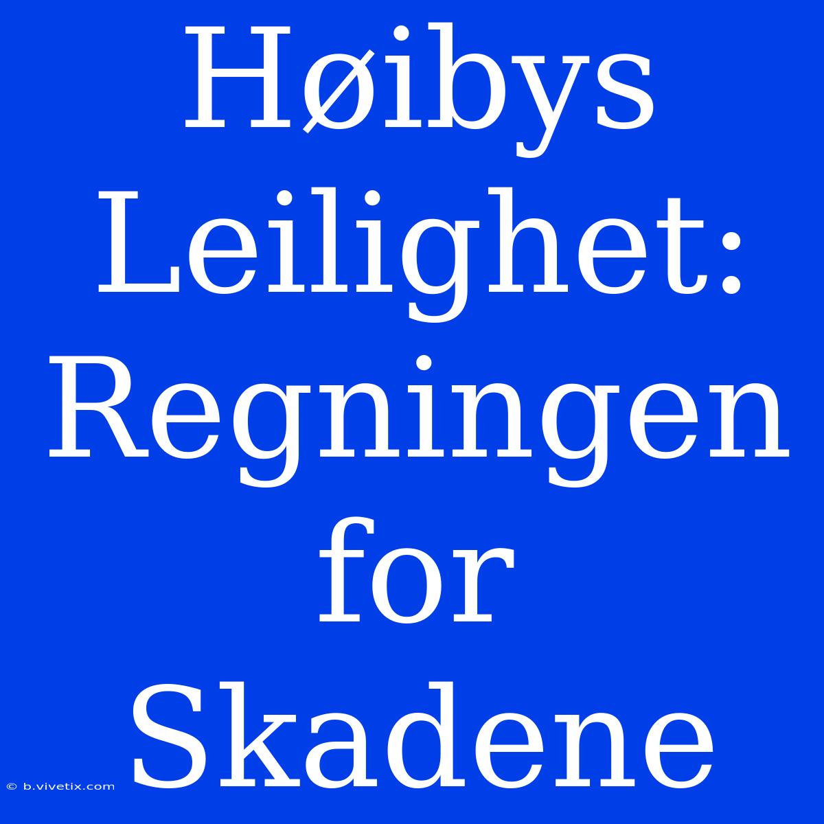 Høibys Leilighet: Regningen For Skadene