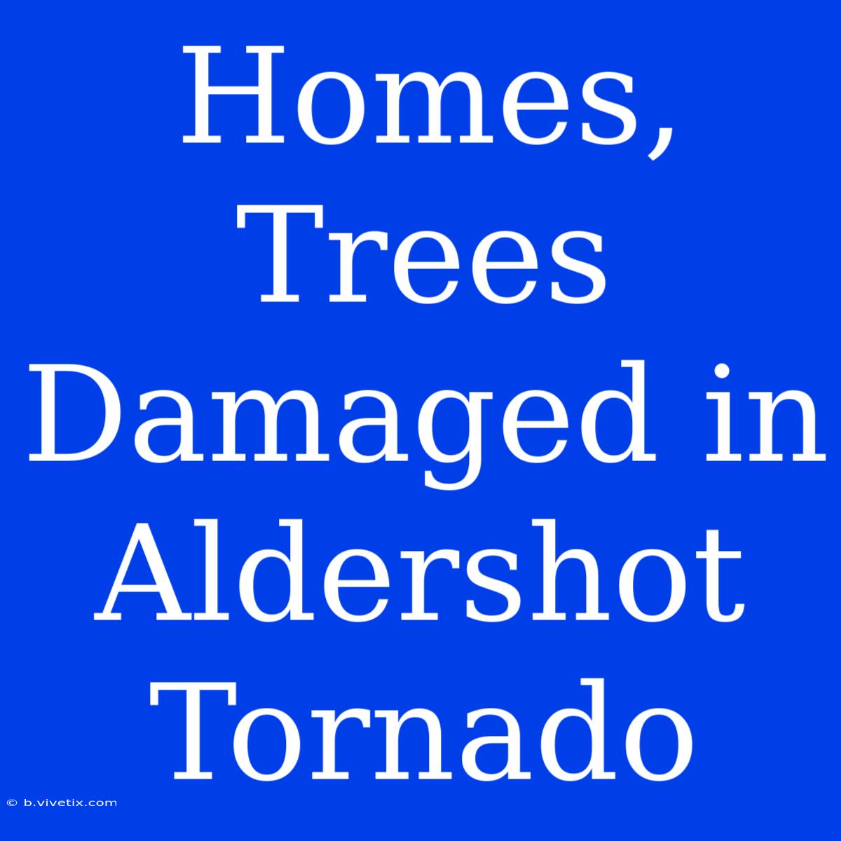 Homes, Trees Damaged In Aldershot Tornado