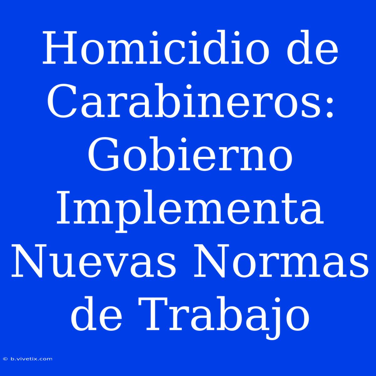 Homicidio De Carabineros: Gobierno Implementa Nuevas Normas De Trabajo