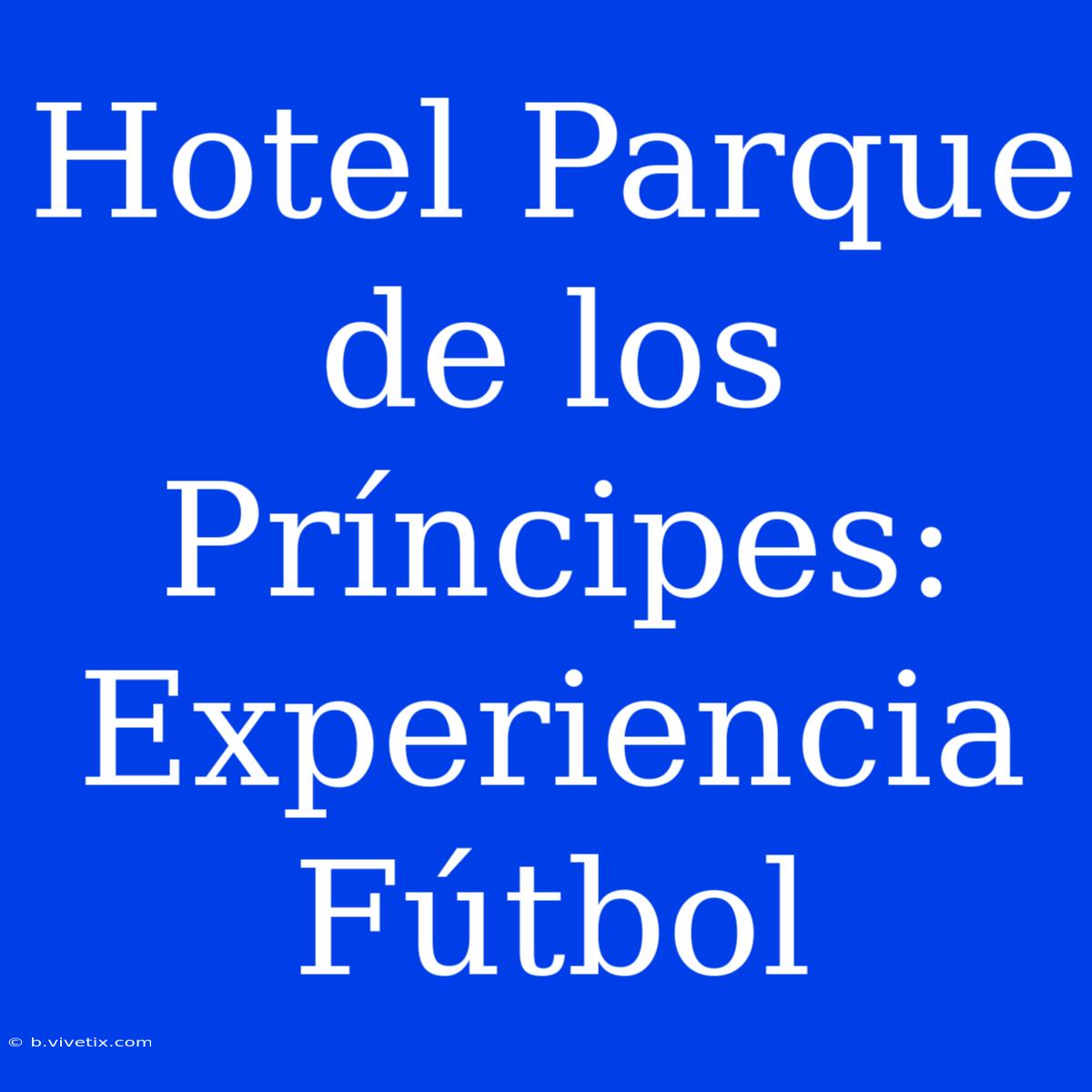 Hotel Parque De Los Príncipes: Experiencia Fútbol